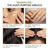 image:imageMajestic Pure Arnica Oil 100 Pure and Natural  4 Fl OzTamanu Oil