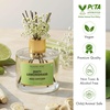 image:imageMajestic Pure Lemongrass Reed Diffuser for Home Bathroom amp Office  Natural Aromatherapy Air Freshener amp Room Fragrance with Reed Sticks amp Dried Flowers 34 fl ozLemongrass