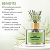 image:imageMajestic Pure Lemongrass Reed Diffuser for Home Bathroom amp Office  Natural Aromatherapy Air Freshener amp Room Fragrance with Reed Sticks amp Dried Flowers 34 fl ozLemongrass