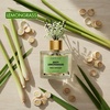 image:imageMajestic Pure Lemongrass Reed Diffuser for Home Bathroom amp Office  Natural Aromatherapy Air Freshener amp Room Fragrance with Reed Sticks amp Dried Flowers 34 fl ozLemongrass